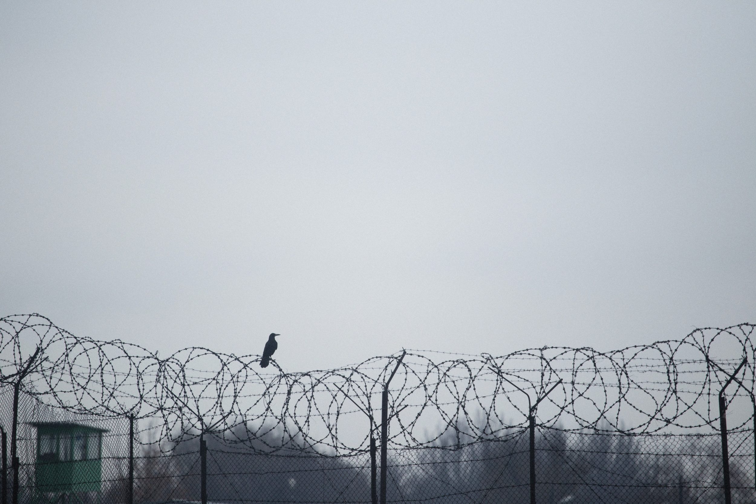alexey-demidov-o9WMtUgPmQE-unsplash