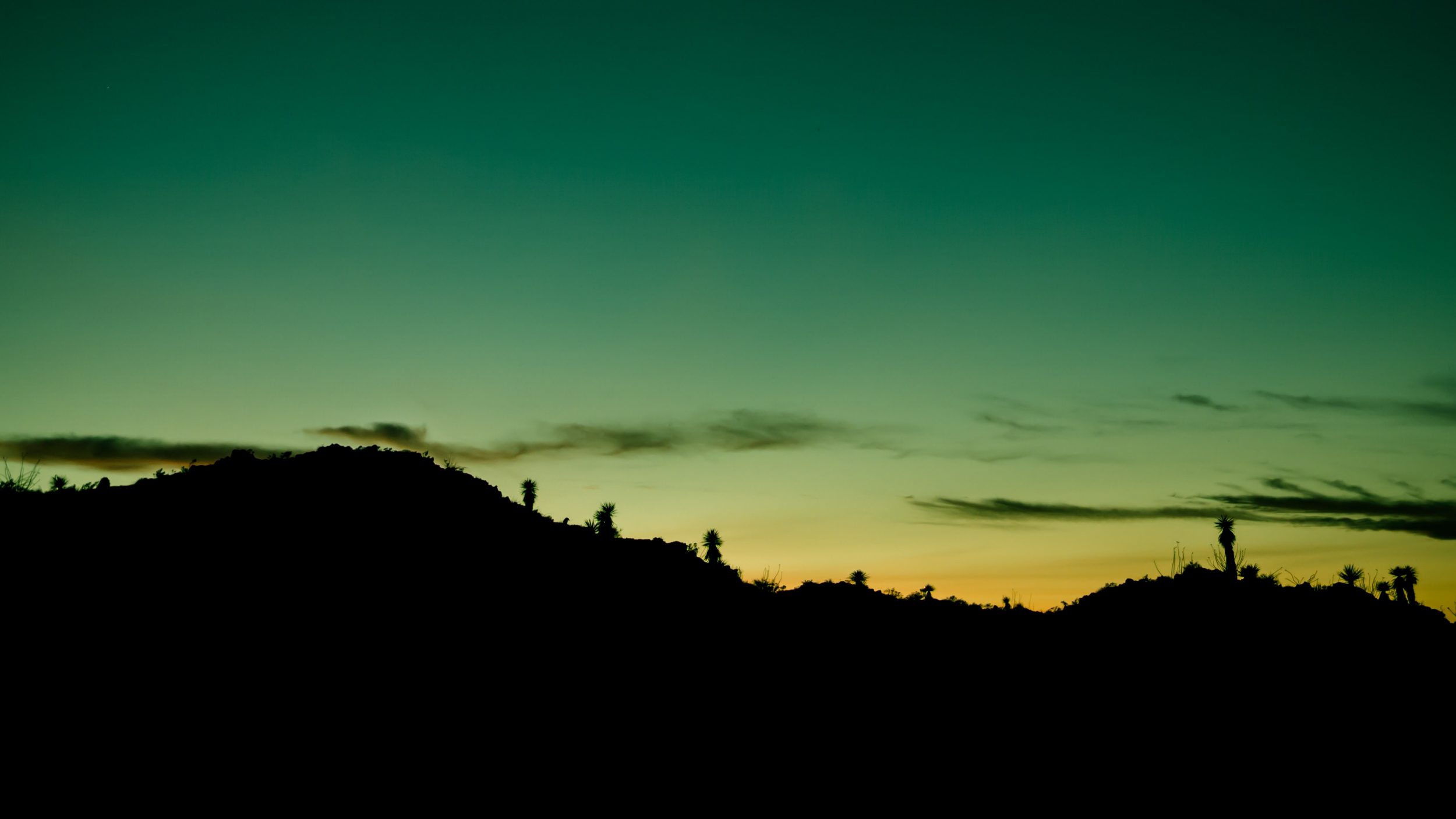 ivan-calderon-sVvnhsAuOL0-unsplash