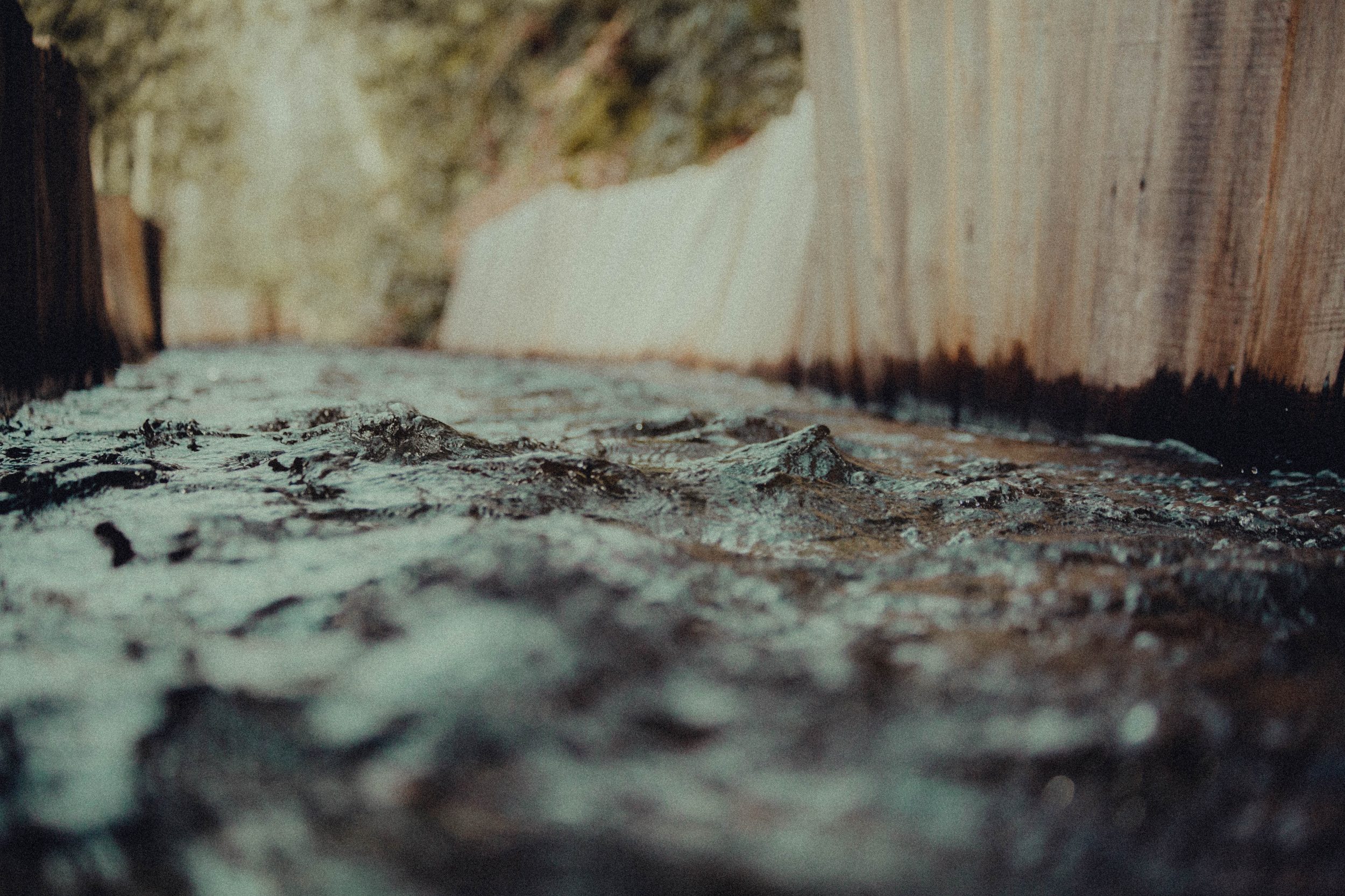 bailey-littlejohn-Wu8yIo9LTnk-unsplash