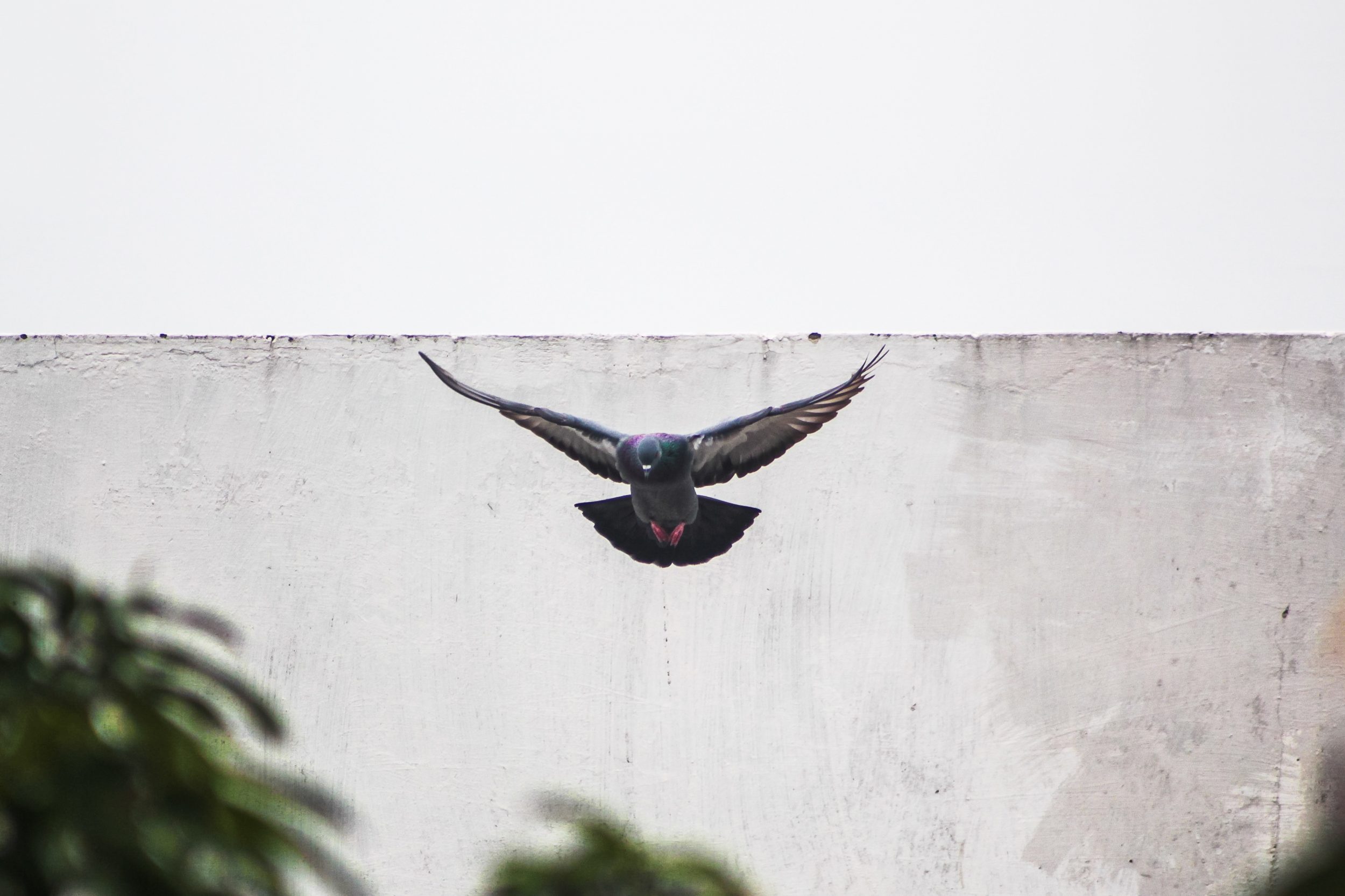 milin-john-l8hmFf1geBE-unsplash