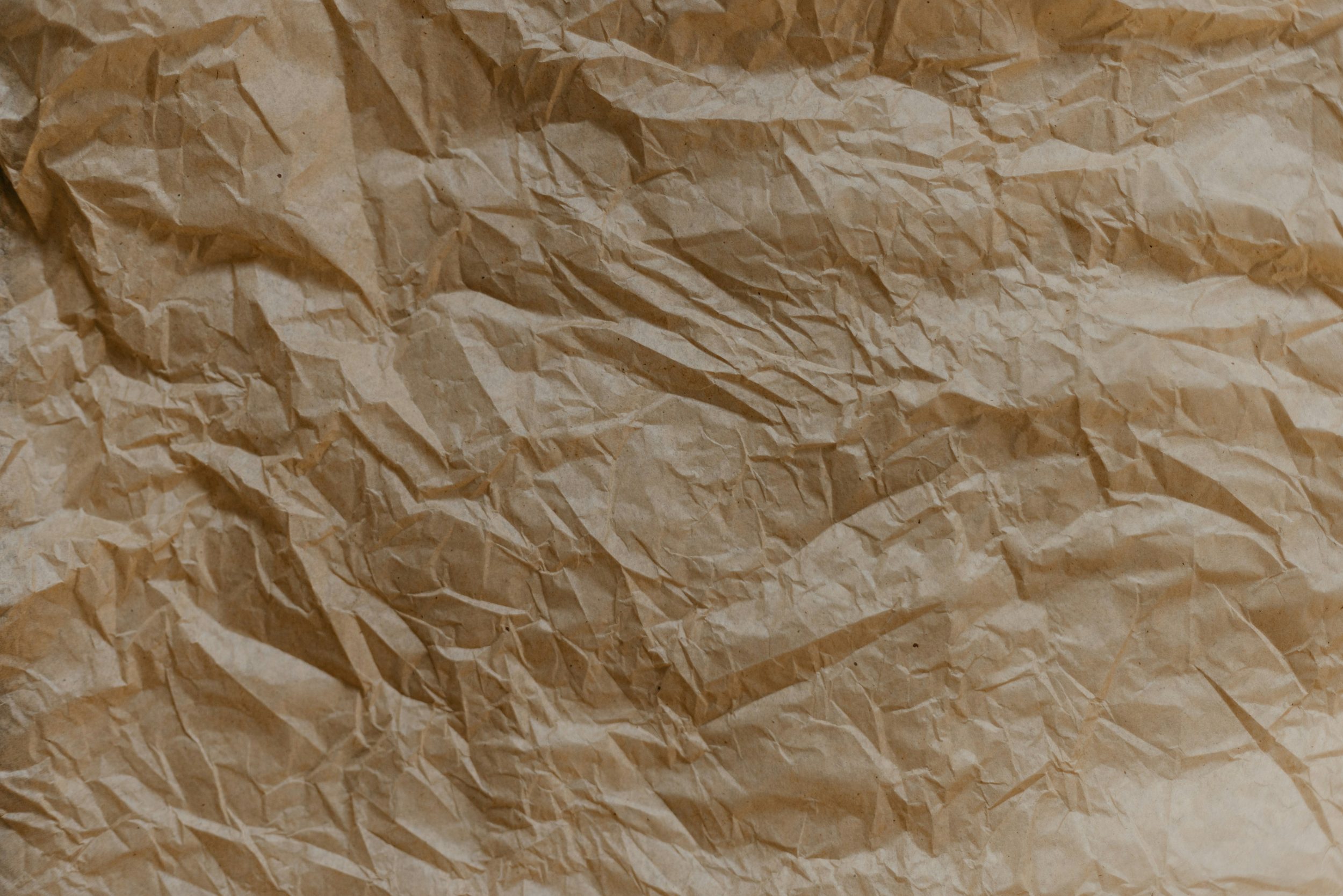 annie-spratt-6oLR4Knhx_c-unsplash