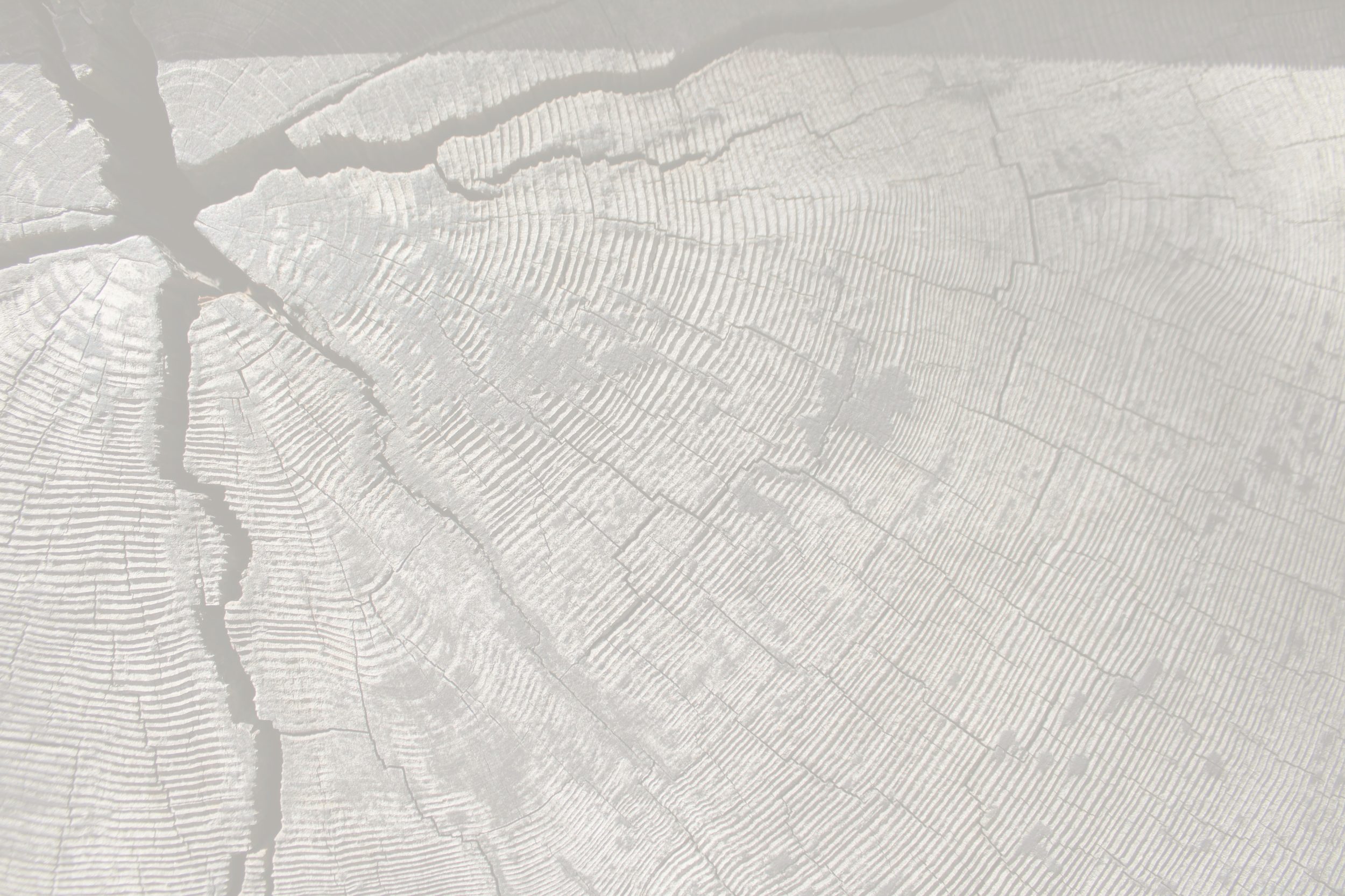 Sawyer header 3