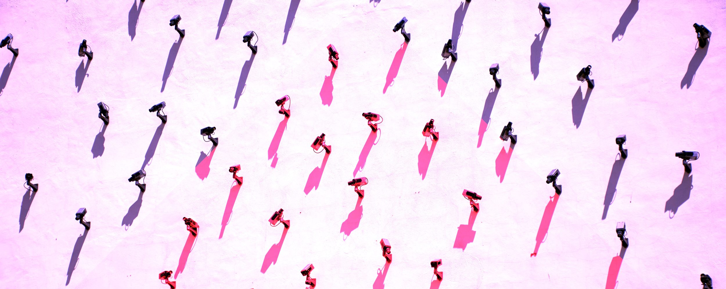 McQuade header 1