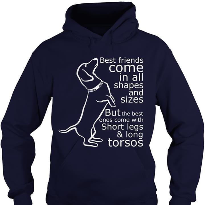 Best Friends Come In All Shapes Sizes But Best Ones Come With Short Legs Long Tortos Dachshund Love Hoodie