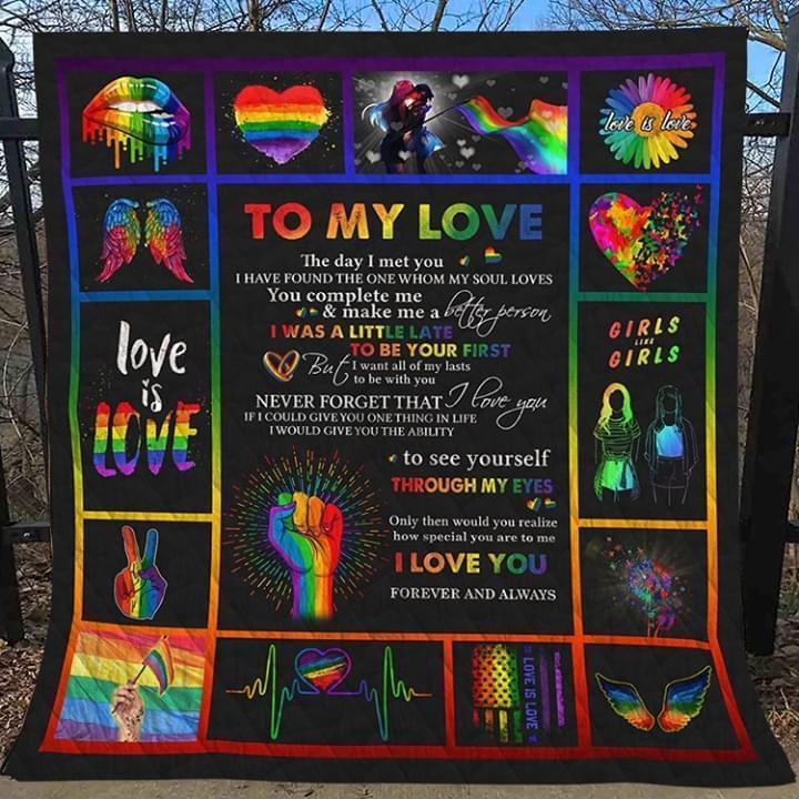 To My Love The Day I Met You I Found The One My Soul Loves Lgbt Quilt Blanket