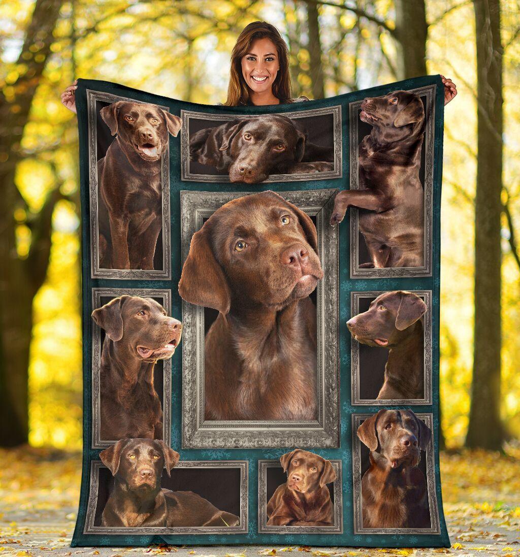 Chocolate Labrador For Dog Lover Quilt Blanket