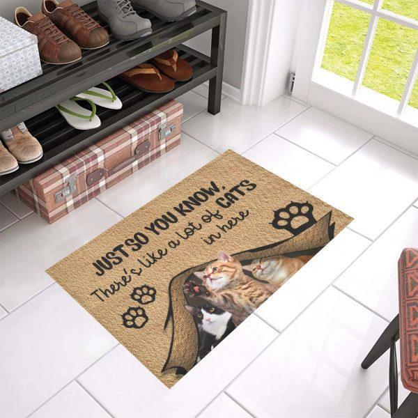 Just So You Know Theres Like A Lot Of Cats In Here Cat Lover Doormat
