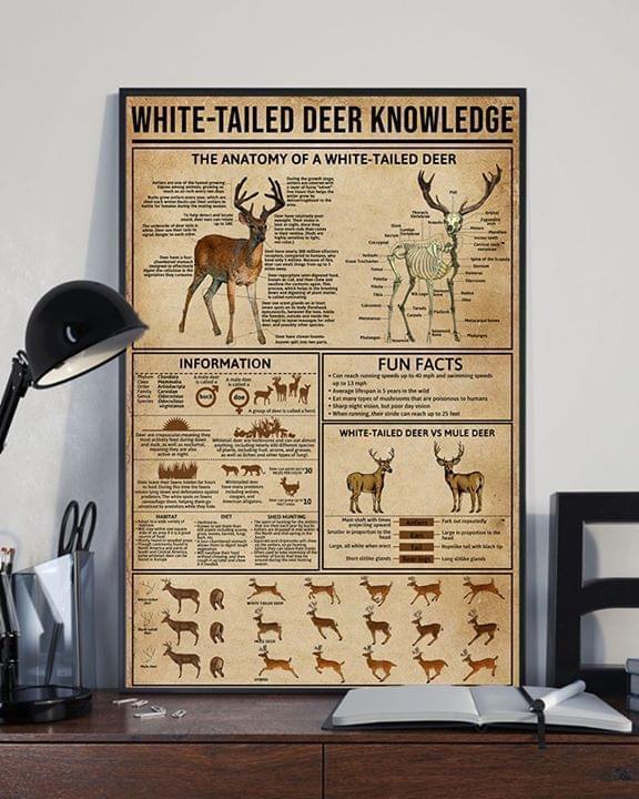 White Tailed Deer Knowledge Deer Hunting Poster Canvas