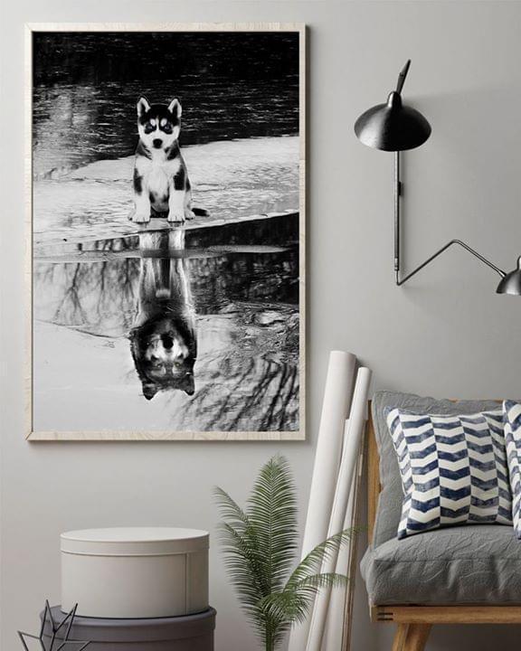 Baby Husky Reflection For Dog Lover Poster Canvas