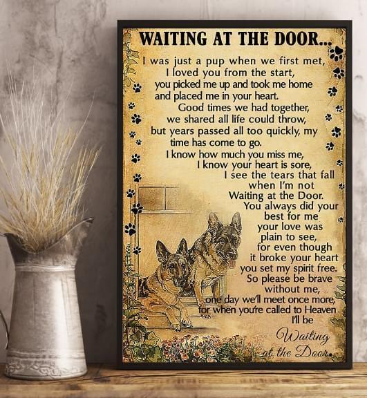Waiting At The Door German Shepherd For Dog Lover Poster Canvas