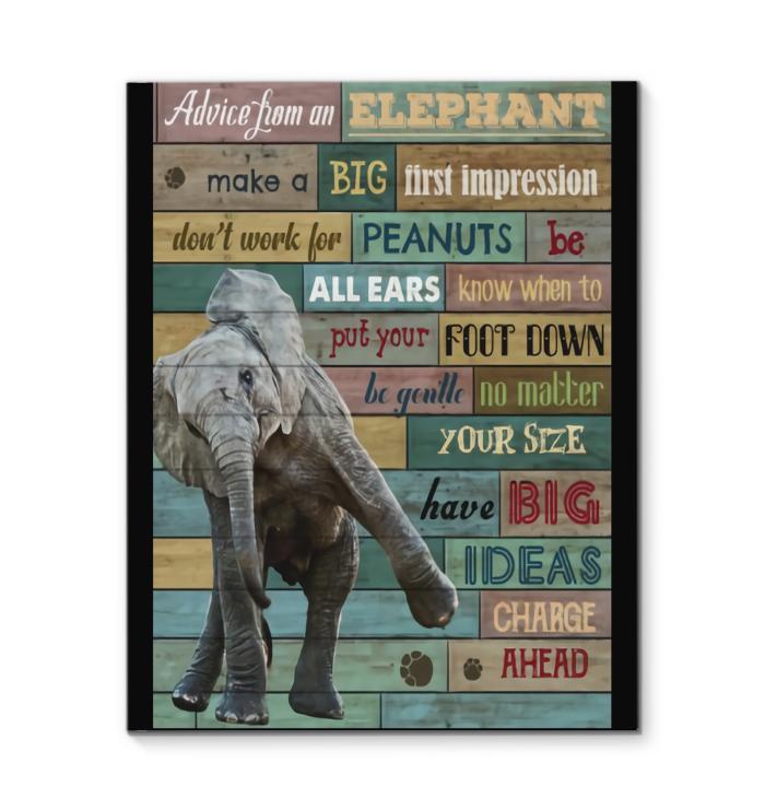 Advice From An Elephant Make Big First Impression Dont Work For Peanuts Canvas New Style