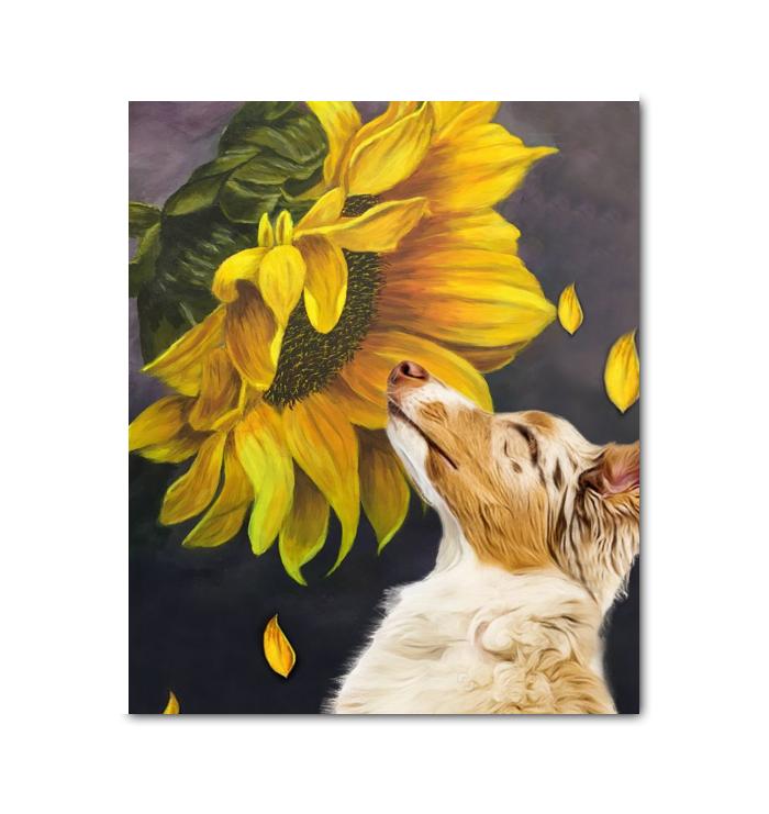 Australian Shepherd Sunflower Canvas