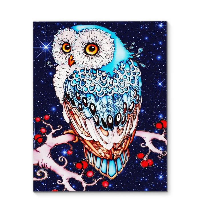 Beautiful Owl Canvas