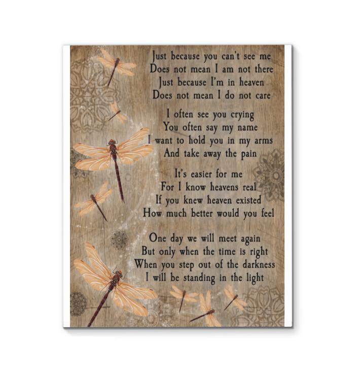 Just Because You Dont See Me Does Not Mean I Am Not Here Dragonfly Canvas