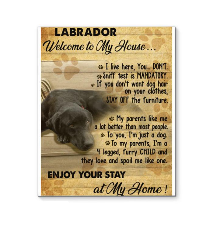 Labrador Welcome To My House Enjoy Your Stay At My Home Canvas