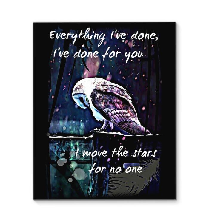 Labyrinth Owl Everything Ive Done Ive Done For You I Move The Stars For No One Canvas