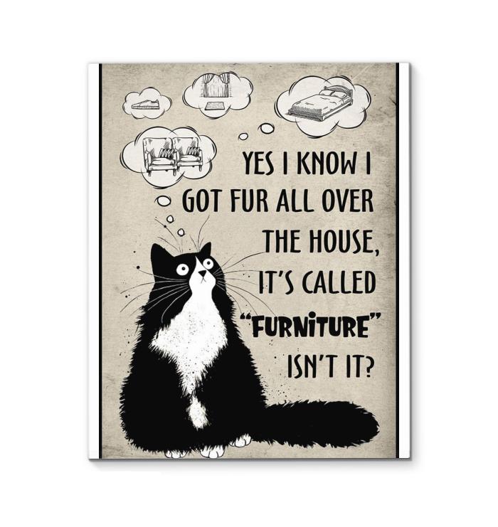 Yes I Know I Got Fur All Over The House Its Called Furniture Cat Canvas