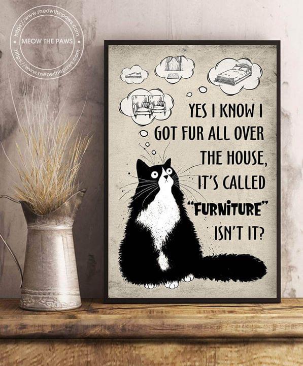 Yes I Know I Got Fur All Over The House Its Called Furniture Cat Poster Canvas