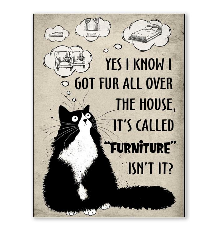 Yes I Know I Got Fur All Over The House Its Called Furniture Cat Poster
