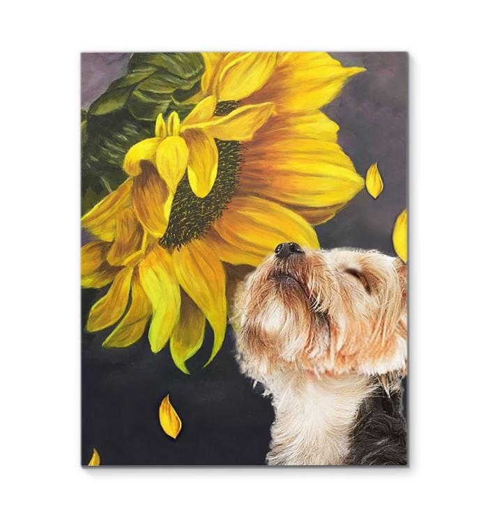 Yorkshire Terrier Sunflower Canvas