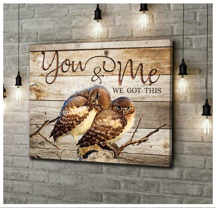 You And Me We Got This Couple Owl Poster Canvas