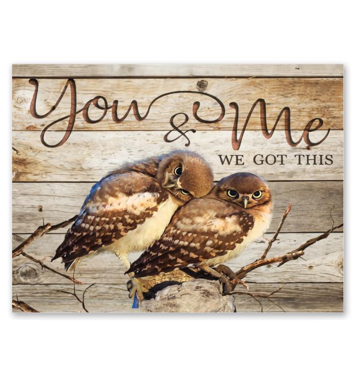 You And Me We Got This Couple Owl Poster