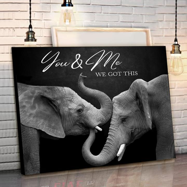 You And Me We Got This Elephant Poster Canvas