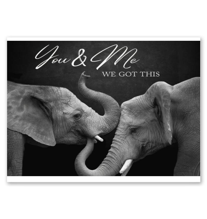 You And Me We Got This Elephant Poster