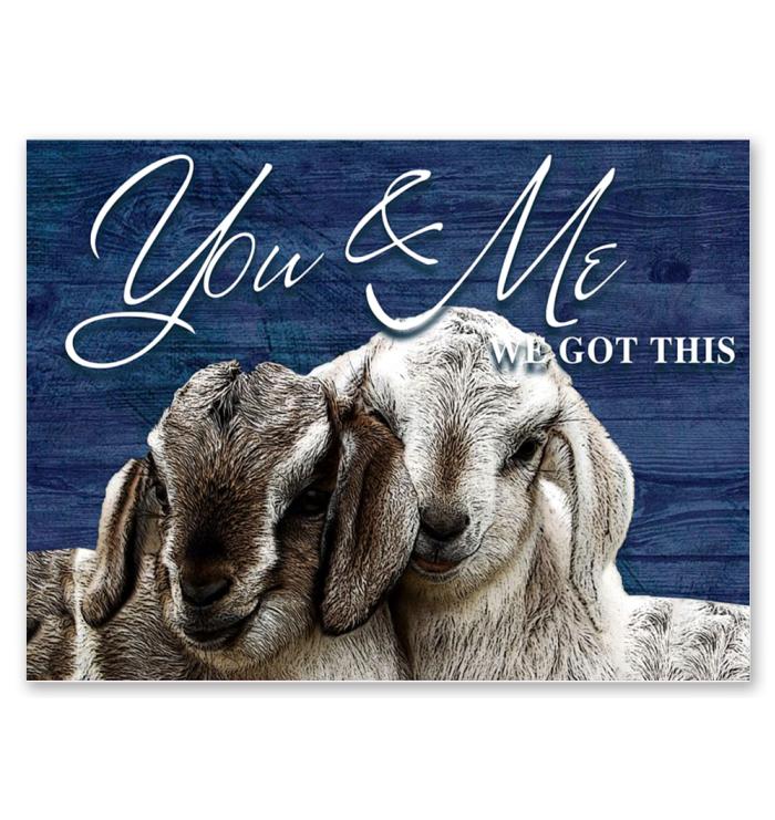 You And Me We Got This Lamb Poster