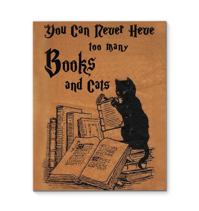 You Can Never Have Too Many Books And Cats Canvas