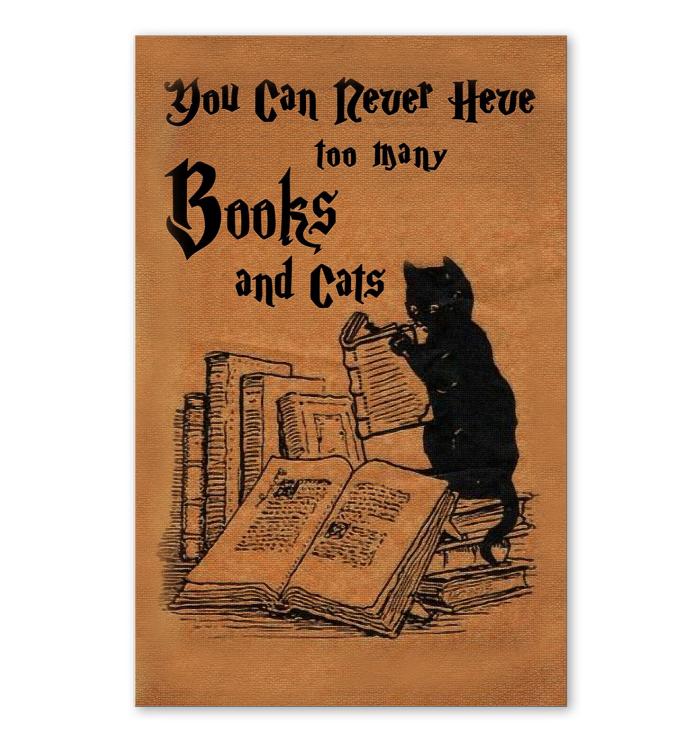 You Can Never Have Too Many Books And Cats Poster