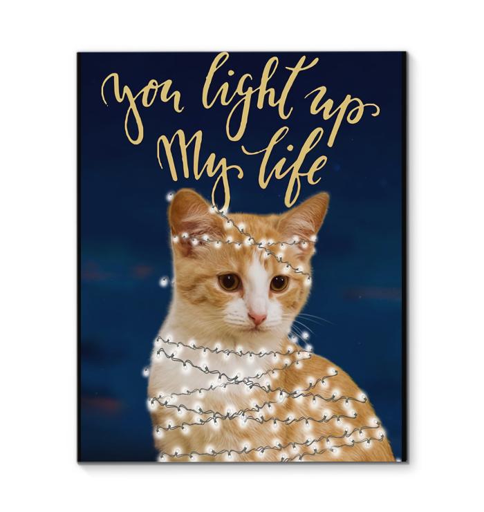 You Light Up My Life Cat Canvas