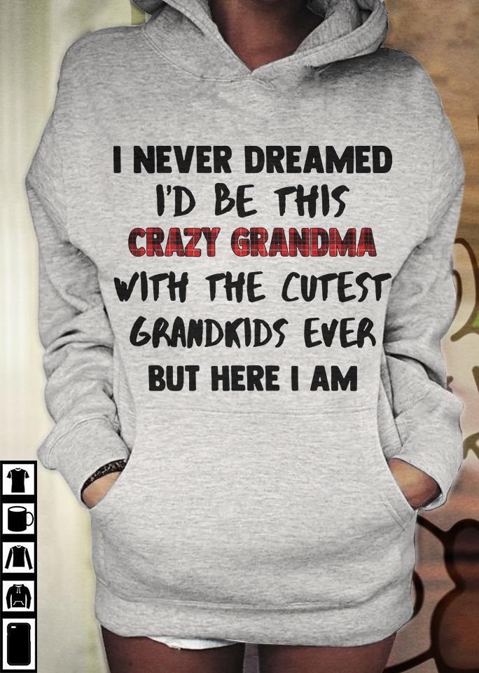 I Never Dreamed Id Be This Crazy Grandma With Cutest Grandkids Ever Hoodie
