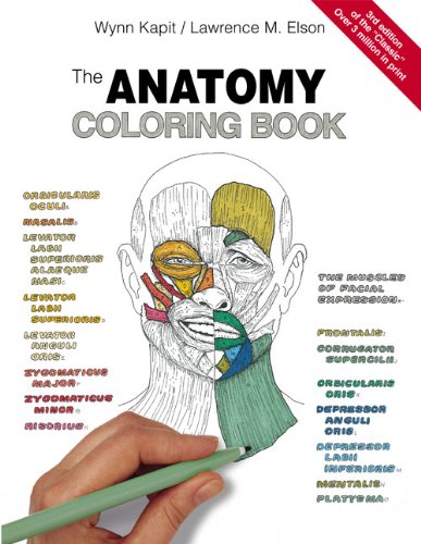 online anatomy coloring pages