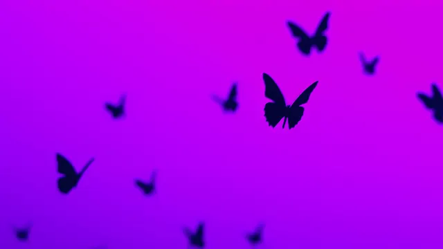Purple Butterfly Aesthetic Minimal wallpaper on Pixipics