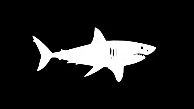 Great White Shark Silhouette Minimal wallpaper on Pixipics