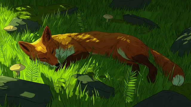 Cozy Fox Sleeping In A Green Glade wallpaper on Pixipics