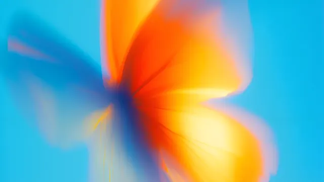 Motion Of A Vibrant Butterfly Wing wallpaper on Pixipics