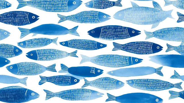 Pattern Of Blue And White Sardines wallpaper on Pixipics