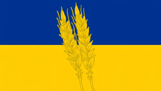 Ukrainian Flag Two Wheat Ears Simple wallpaper on Pixipics