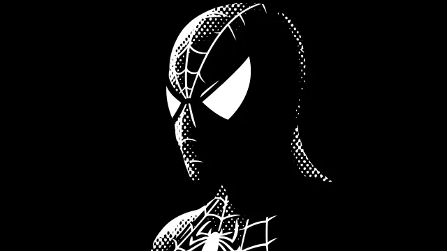 White Spiderman Vector Art Comic Noir wallpaper on Pixipics