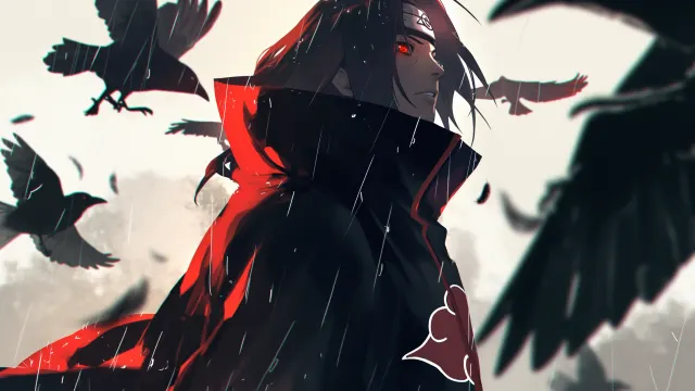 Naruto Itachi Uchiha Crow Genjutsu wallpaper on Pixipics