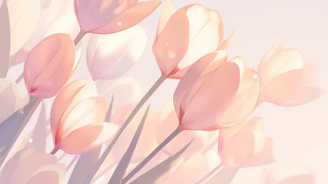 Pink Tulips With Light Shine wallpaper on Pixipics