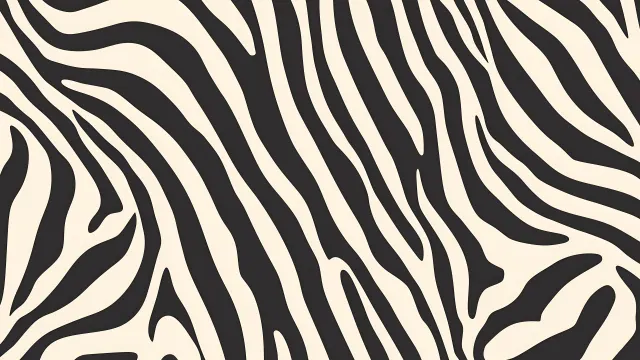 Zebra Pattern Black White Print wallpaper on Pixipics