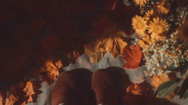 Autumn Fall Season Feet Slippers On Leaves wallpaper on Pixipics