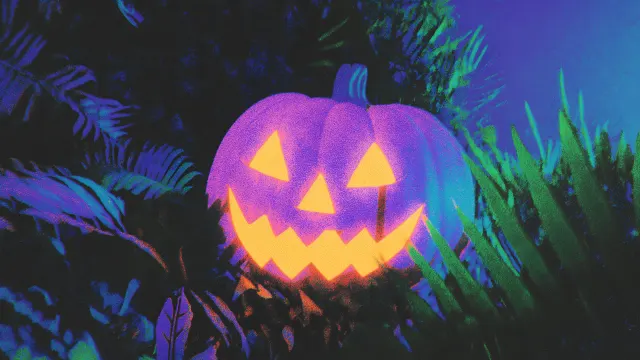 Halloween Neon Pumpkin Jungle Vibe Dark Night wallpaper on Pixipics