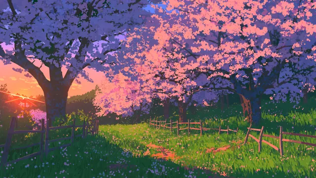 Anime Style Spring Field With Sakura wallpaper on Pixipics