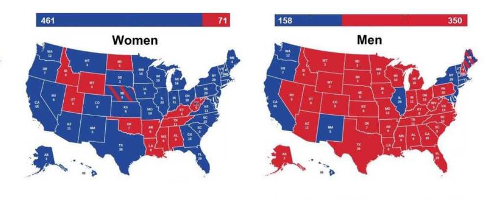 Image of the difference between male and female voter patterns