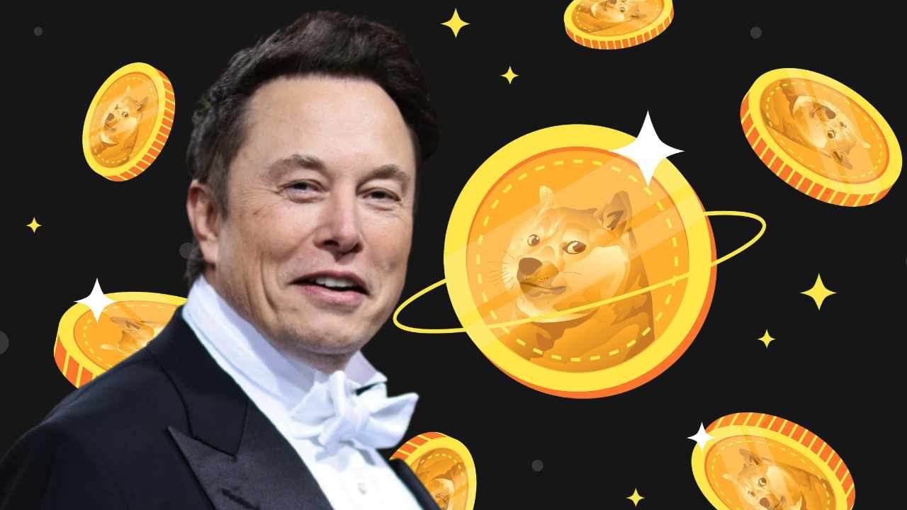 Tesla CEO Elon Musk Confirms He’ll Keep Buying and Supporting Dogecoin - Rich Picks Daily