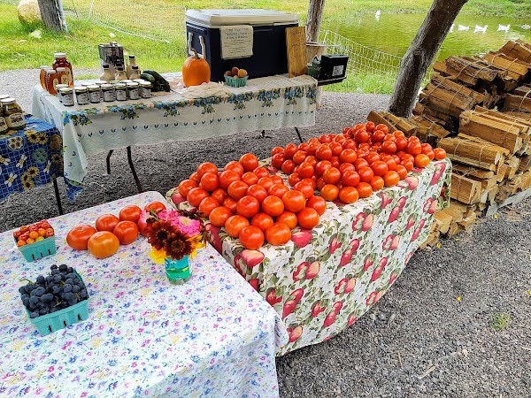 Ledgewood Farm
